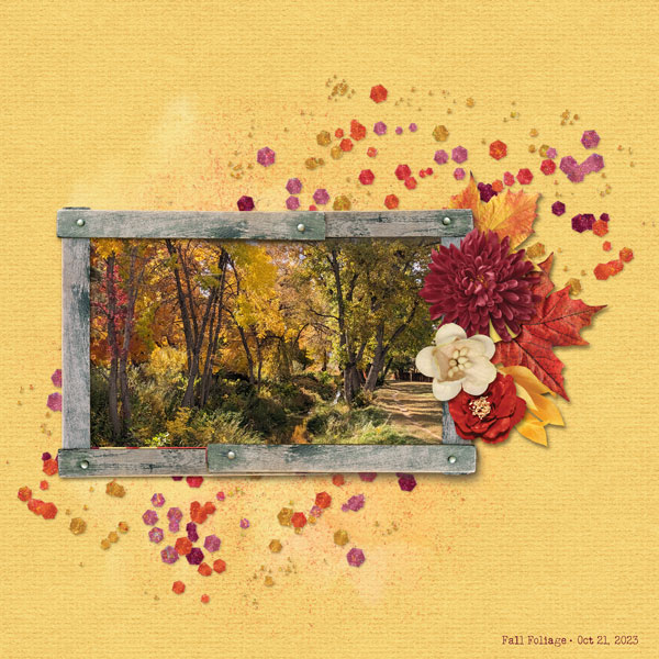 Fall Foliage Oct 21, 2023