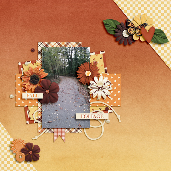 Fall Foliage