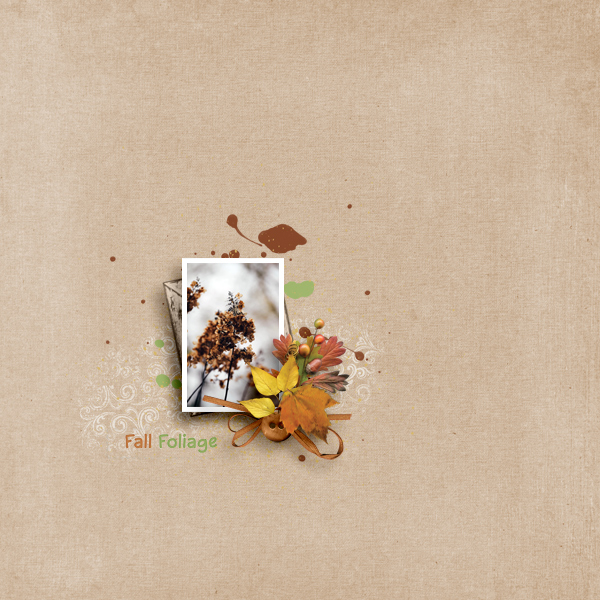 fall foliage