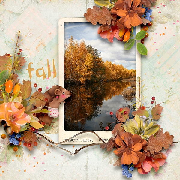 Fall Foliage