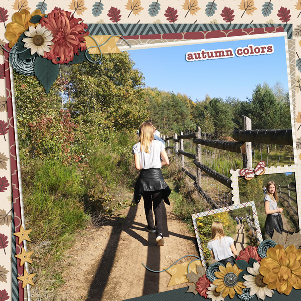 fall foliage