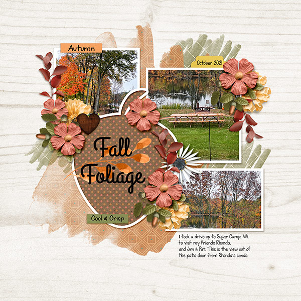 Fall Foliage