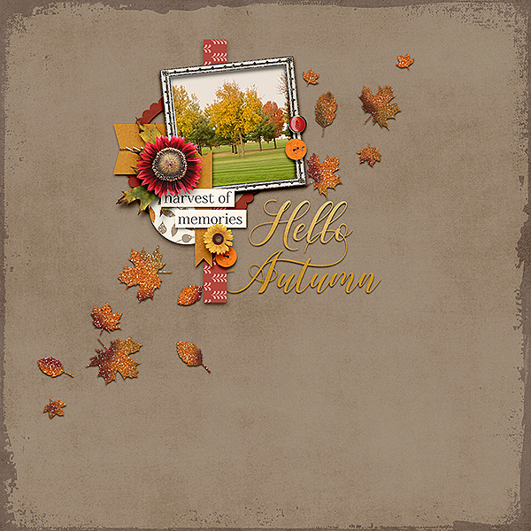 Fall Foliage