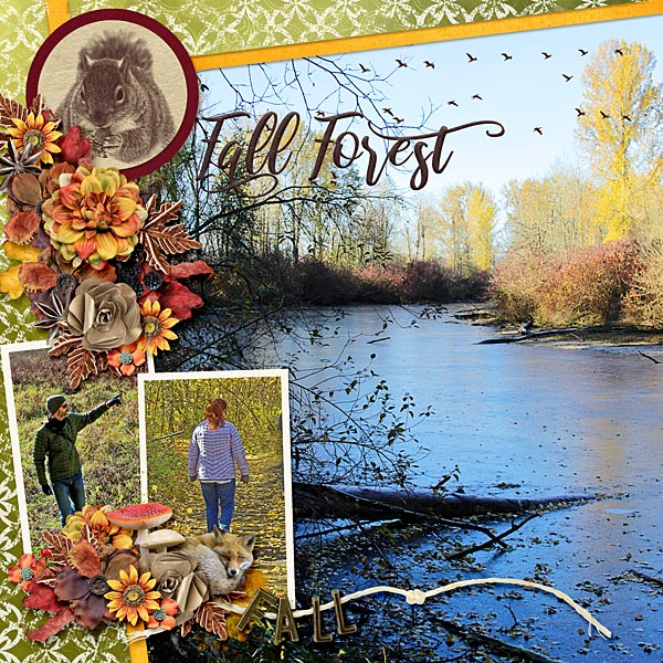 Fall Forest