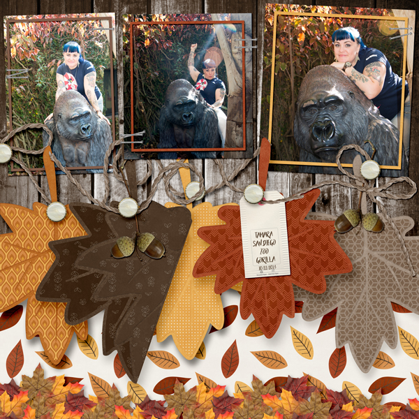 Fall Frenzy Template Set