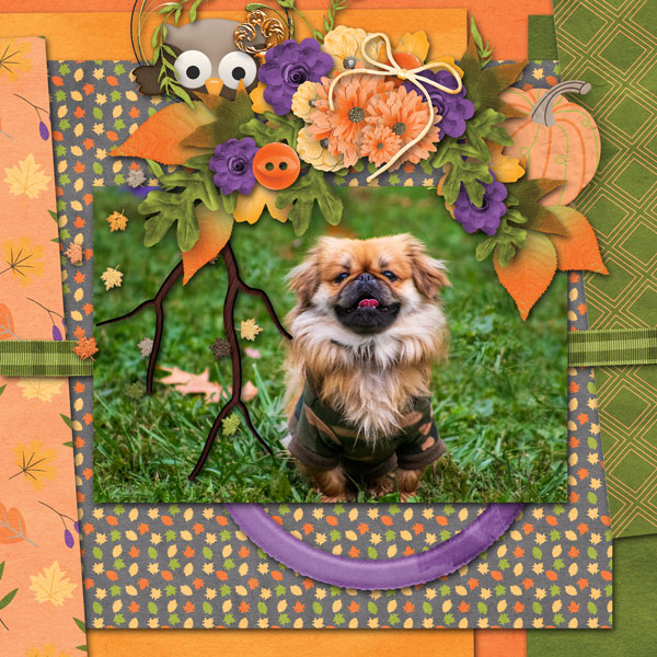 Fall Frolics