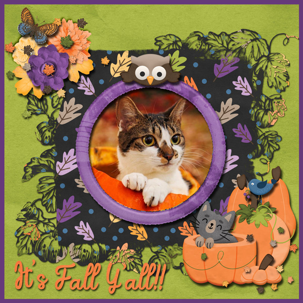 Fall Frolics