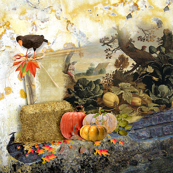 Fall Garden