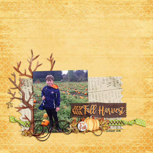 Fall Harvest