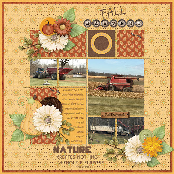 Fall Harvest