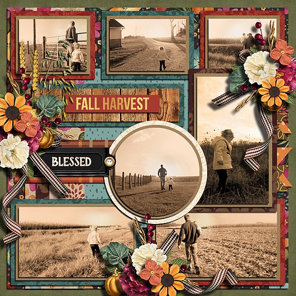 Fall Harvest