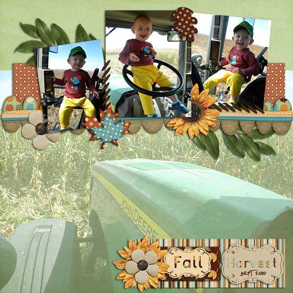 Fall Harvest