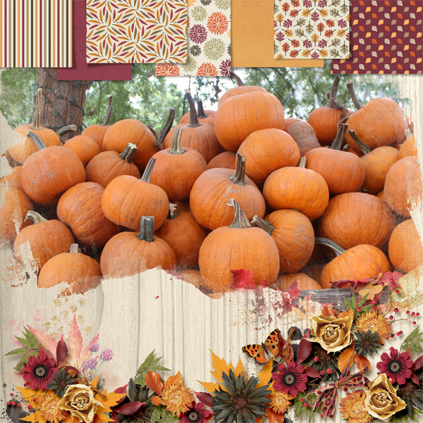Fall Harvest