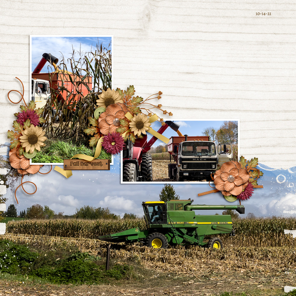 Fall Harvest
