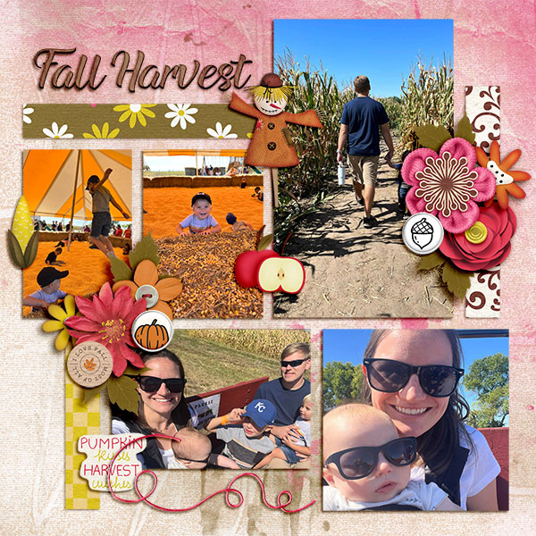 Fall Harvest