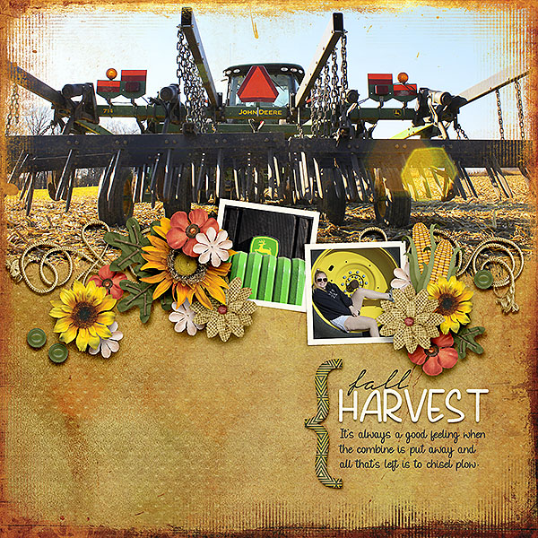Fall Harvest