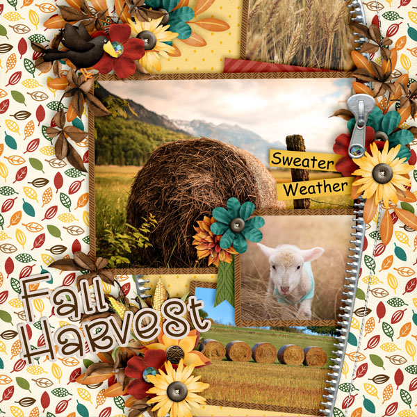Fall Harvest