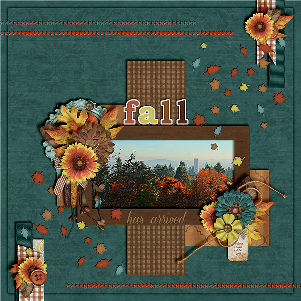 Fall Has Arrived