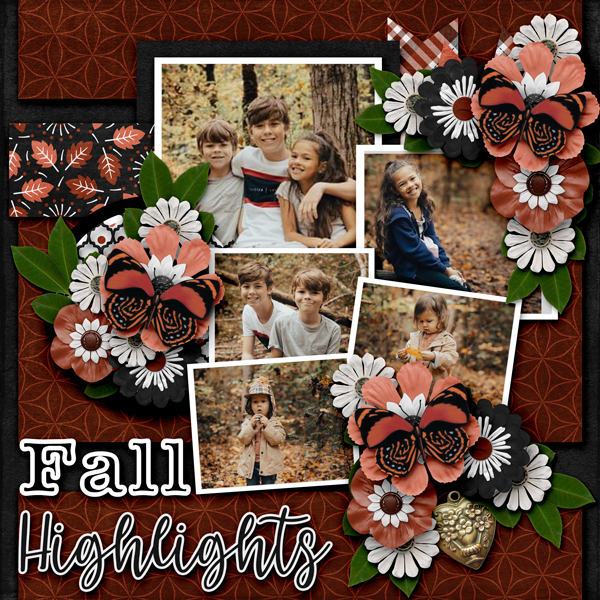 Fall Highlights