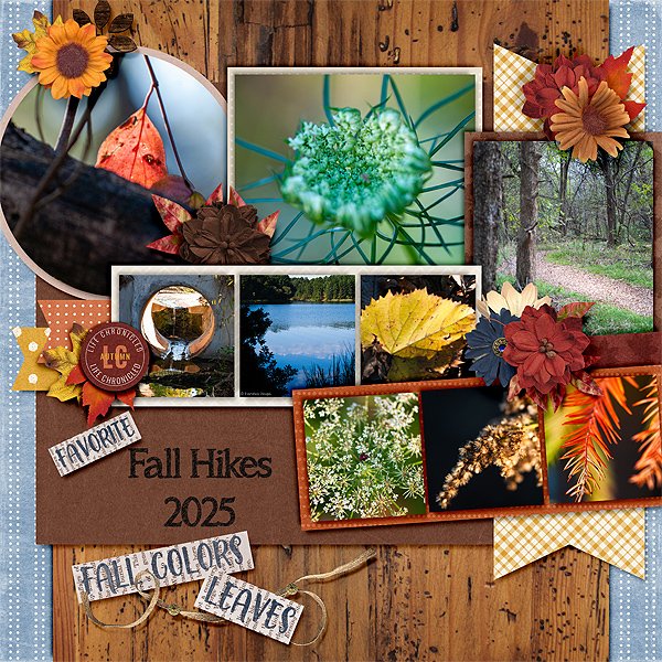 Fall Hikes 2025