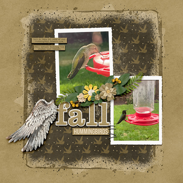 Fall Hummingbirds
