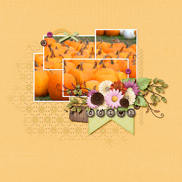 Fall in color