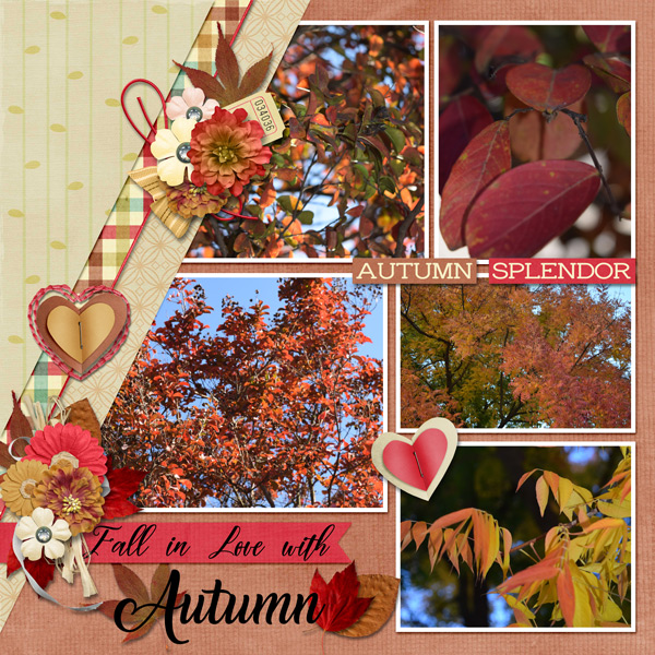Fall in love with Autumn