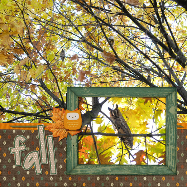 Fall in Love