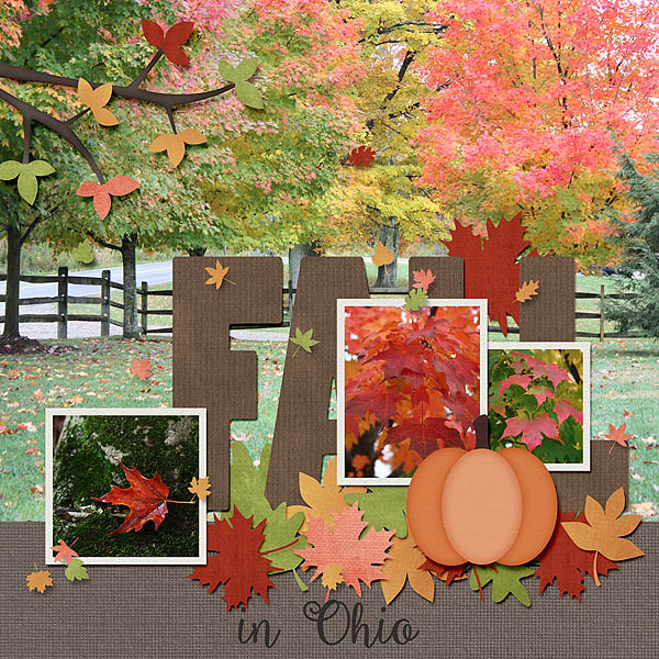Fall in Ohio