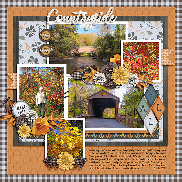 Fall in the Countryside