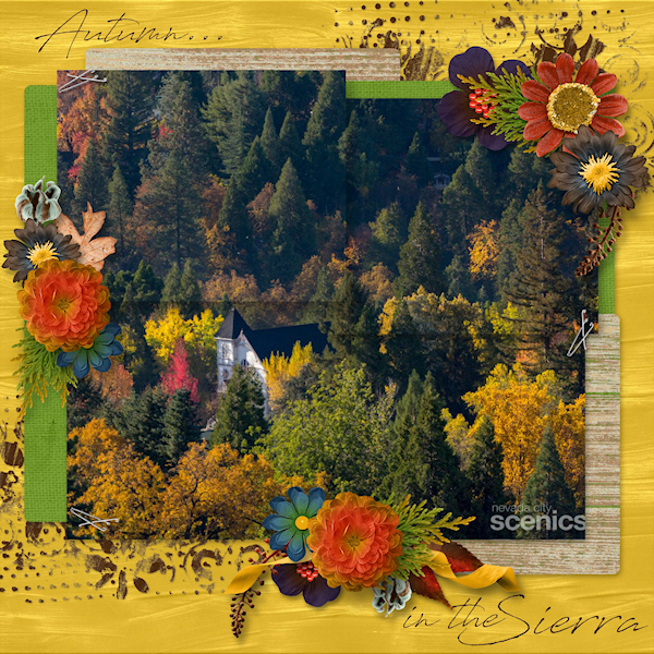 Fall in the Foothills