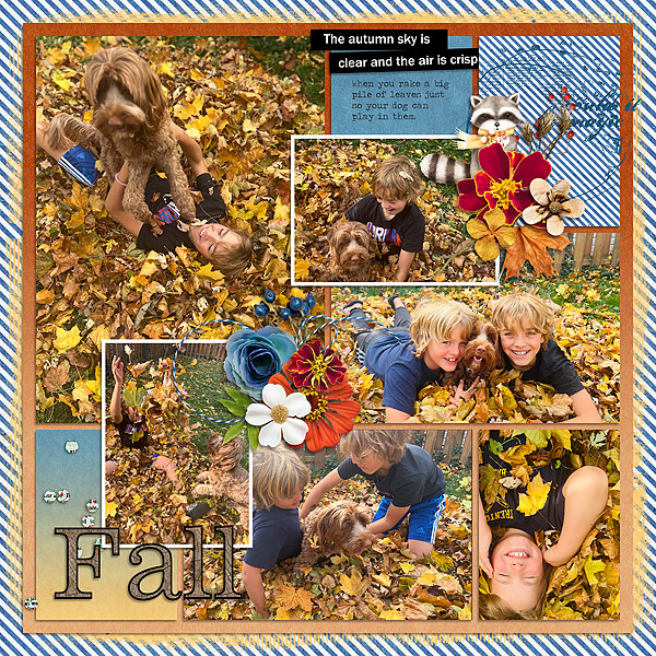Fall in the Leaves