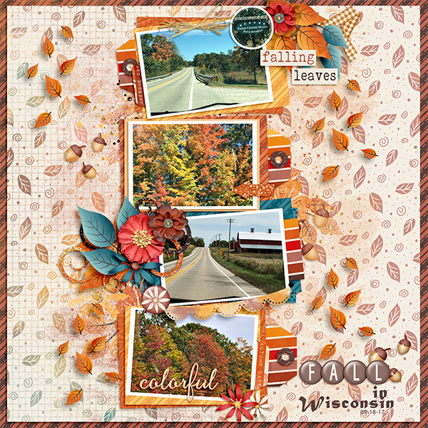 Fall in Wisconsin