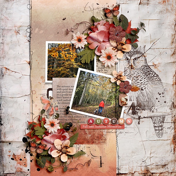 Fall into autumn memories