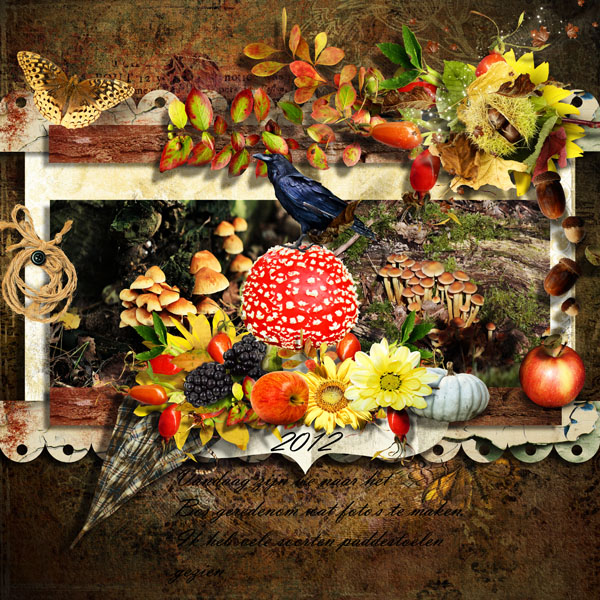 Fall Into Autumn