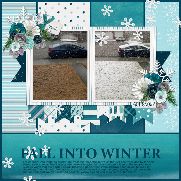 Fall Into Winter