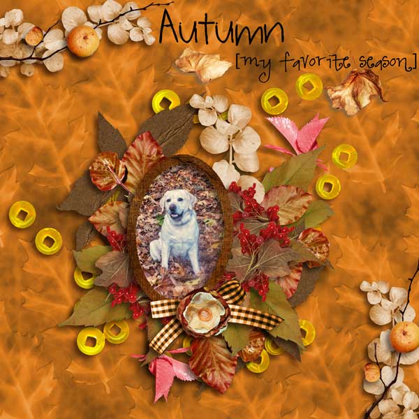 fall is back