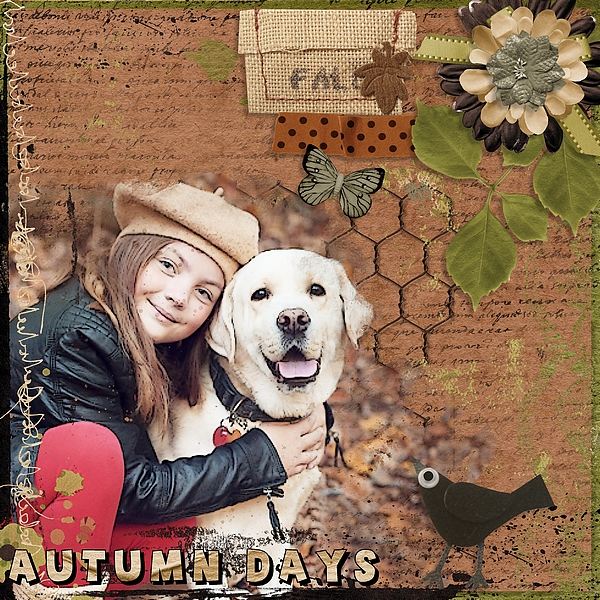 Fall is Calling