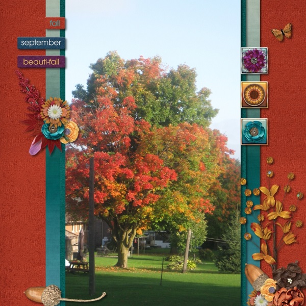 Fall is Here