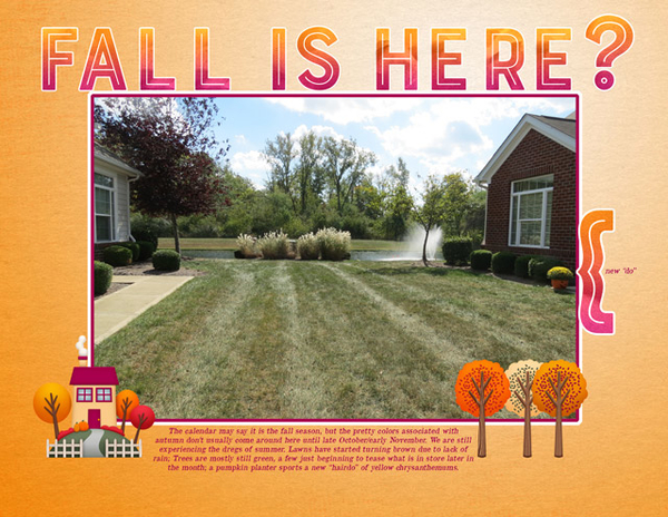 FALL IS HERE?