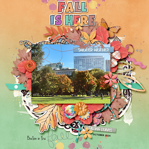 Fall Is Here