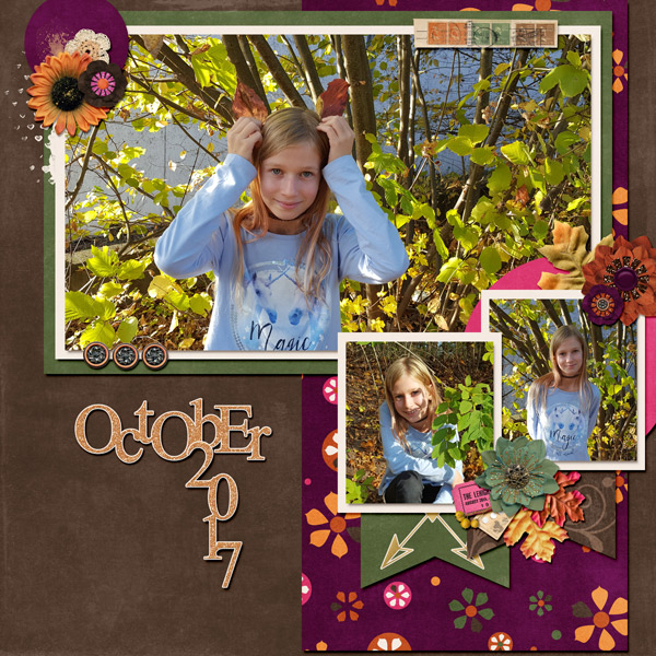 fall is in full swing
