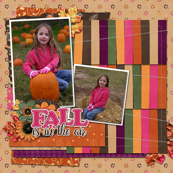 Fall is in the Air