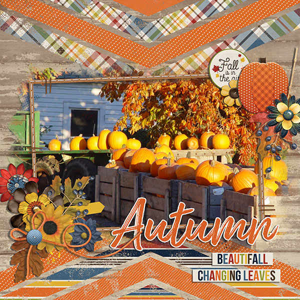 fall is in the air