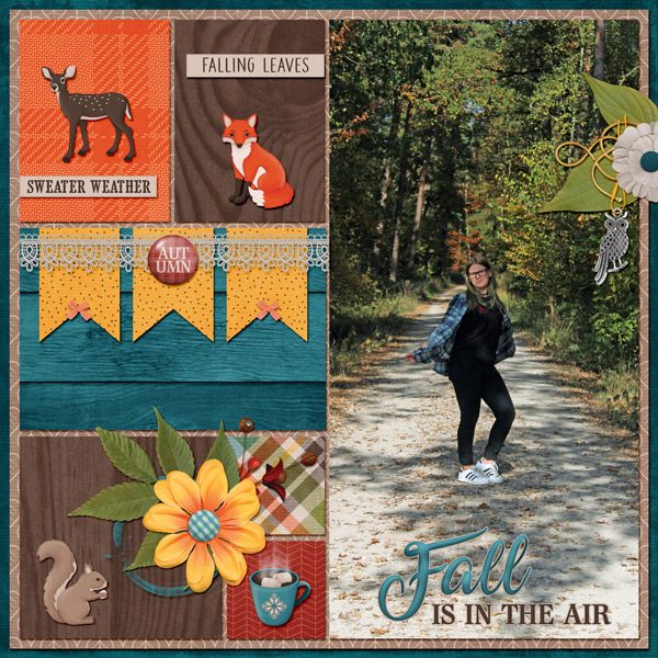 fall is in the air
