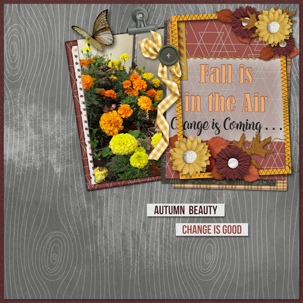 Fall is in the Air