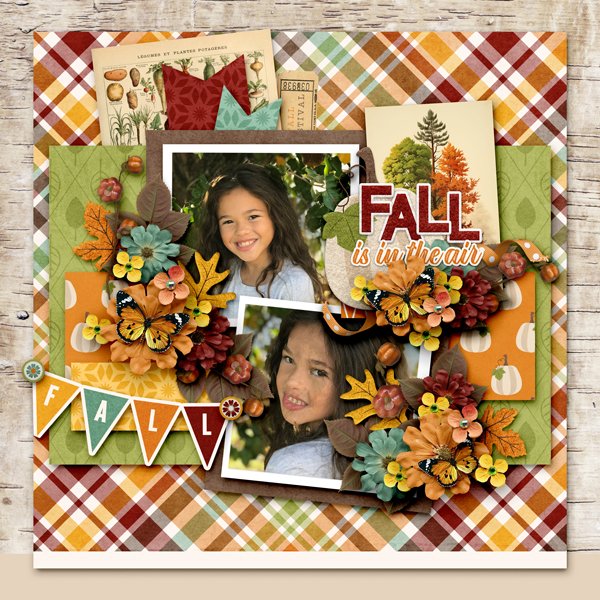 Fall is in the Air