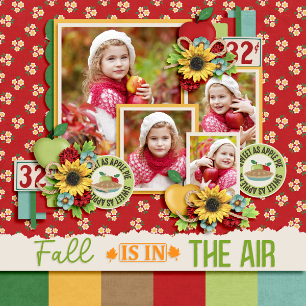 Fall is in the Air