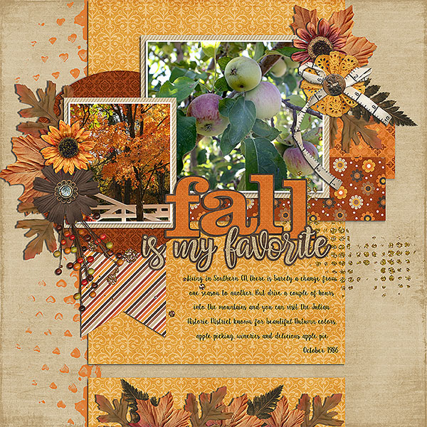 fall is my favorite