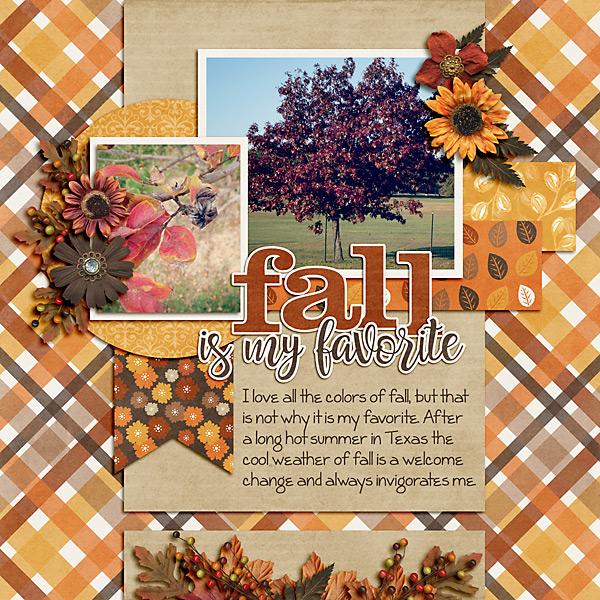Fall is my Favorite